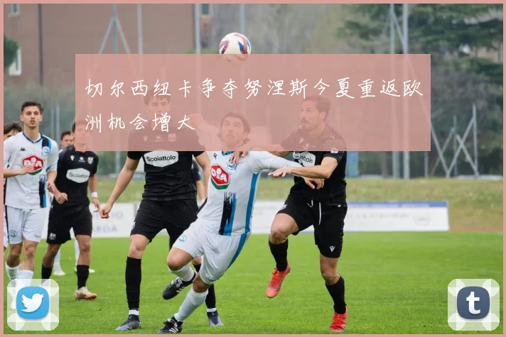 切尔西纽卡争夺努涅斯今夏重返欧洲机会增大